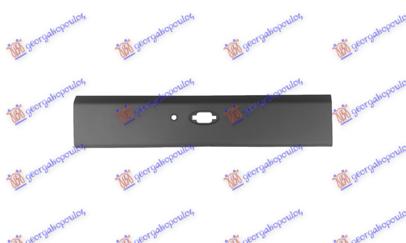 ΦΑΣΑ ΠΛΑΙΝΟΥ (ΜΕ ΤΡΥΠΑ ΓΙΑ ΦΛΑΣ) (ΜΑΚΡΥΑ ΚΑΡΟΤΣΑ) (ΜΕ PDS) ΔΕΞ